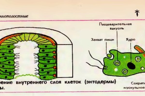 Домен кракена