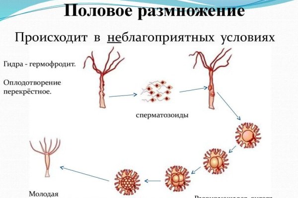 Kraken пользователь не найден при входе