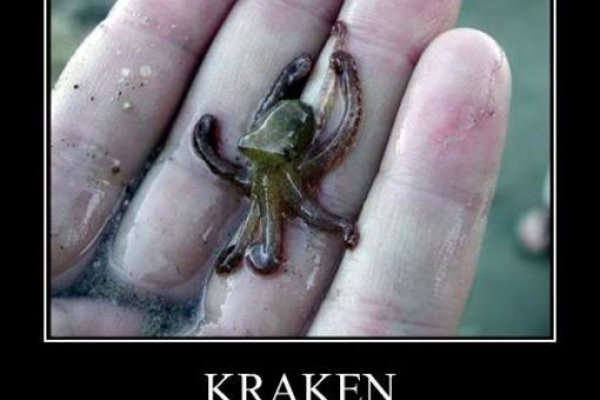 Kraken support