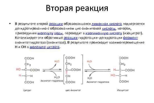 Даркнет сайт войти