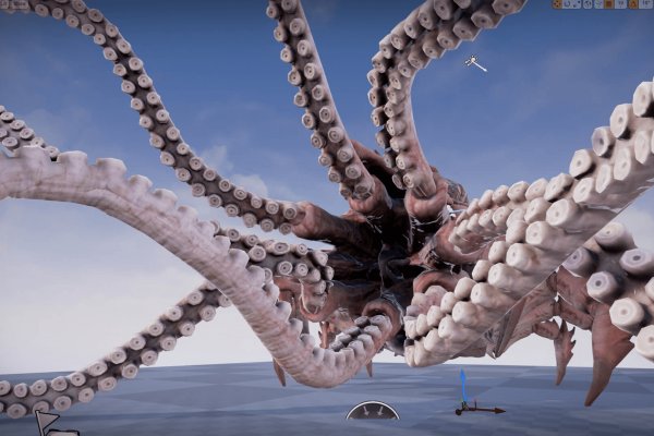 Kraken 2 vtor run