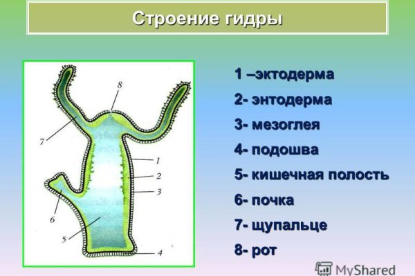 Kraken зеркало kraken clear com